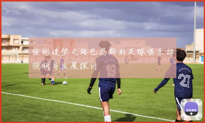 徐彬追梦之路巴恩斯利足球俱乐部现状与发展探讨