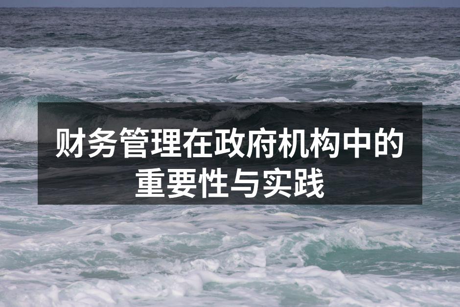 财务管理在政府机构中的重要性与实践