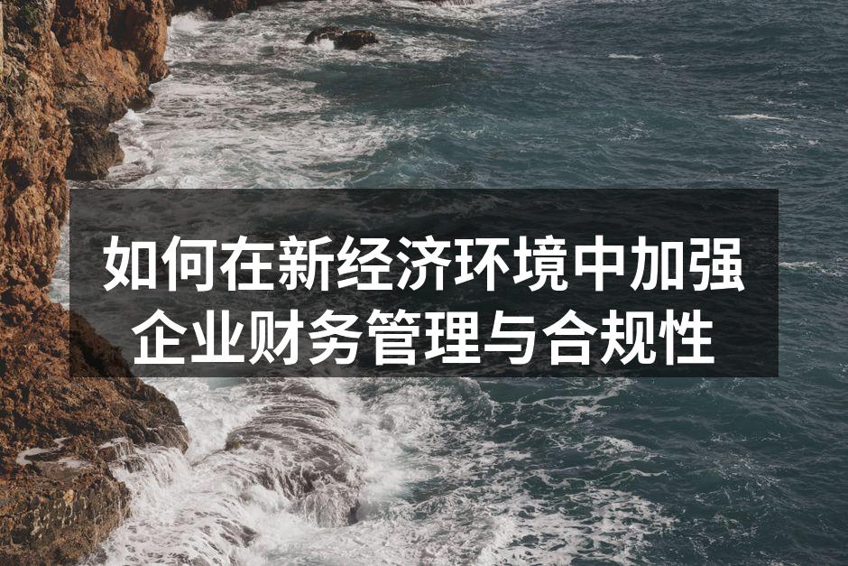 如何在新经济环境中加强企业财务管理与合规