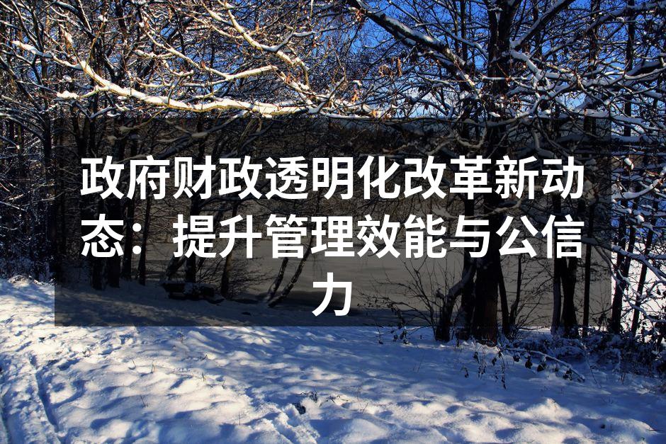 政府财政透明化改革新动态：提升管理效能与